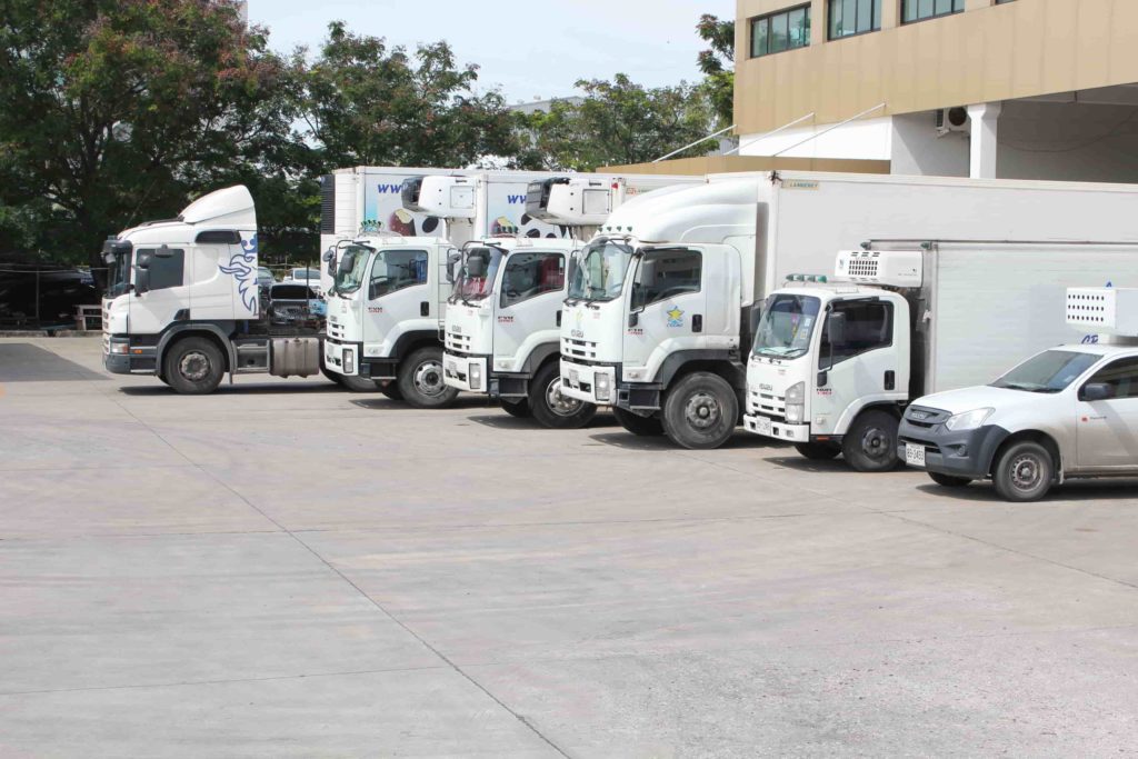 Cold Chain Logistics Services Thailand